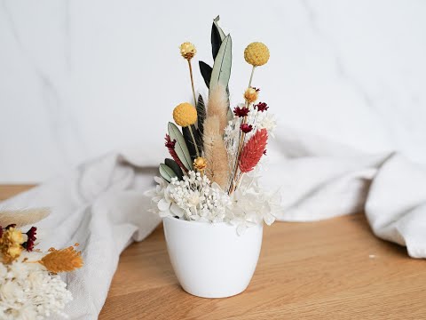 Erklärvideo für DIY-Set Alexa