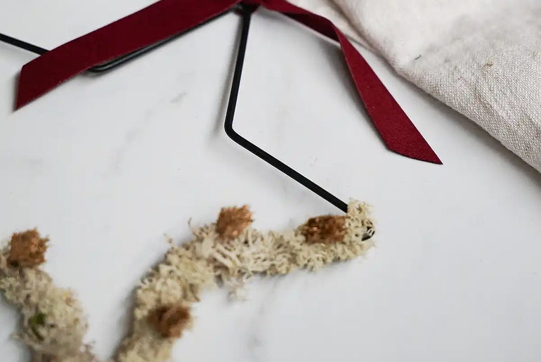 Bastelset Stella creme: Eleganter Weihnachtsstern mit Moos und Juteschnur für natürliche Weihnachtsdeko
