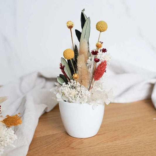 DIY-Set Trockenblumengesteck Alexa – Handgemachtes DIY-Trockenblumen-Set für kreative Dekoration.