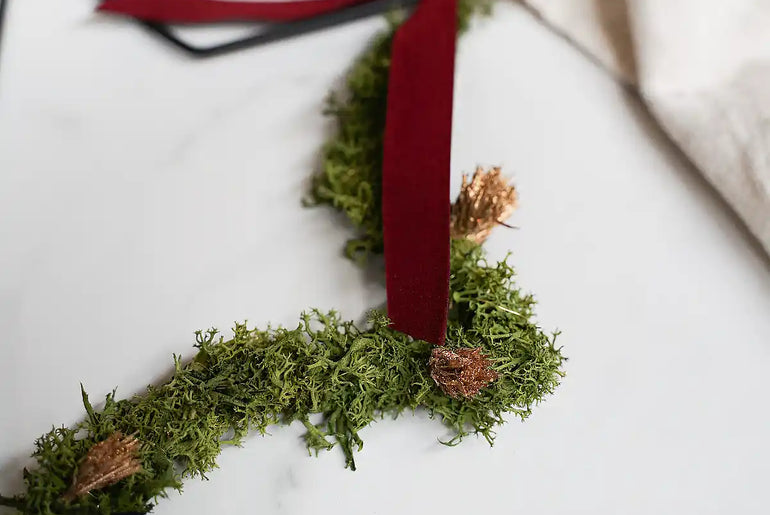 Trockenblumen Weihnachtsstern Stella grün: DIY-Kit mit Anleitung und Video für kreative Weihnachtsdeko