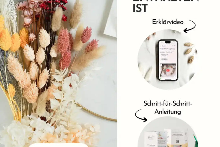 DIY-Set Trockenblumen Wandkranz Daisy